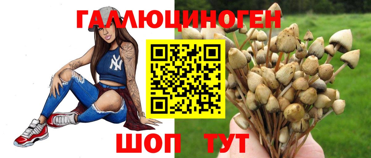 Псилоцибиновые грибы Psilocybine cubensis  Псилоцибиновые грибы Magic Shrooms  Вход с VPN  Пыть-Ях 